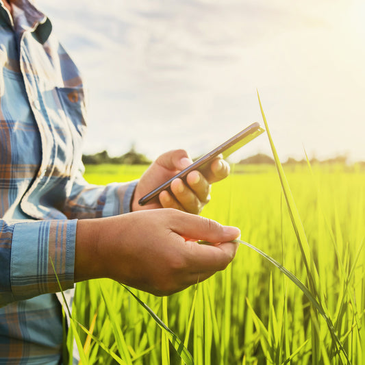 A man enjoying the tranquility of a green field while browsing the internet on his smartphone. This image symbolizes the harmonious connection between technology and nature, highlighting the role of conscious consumerism in promoting sustainable choices.