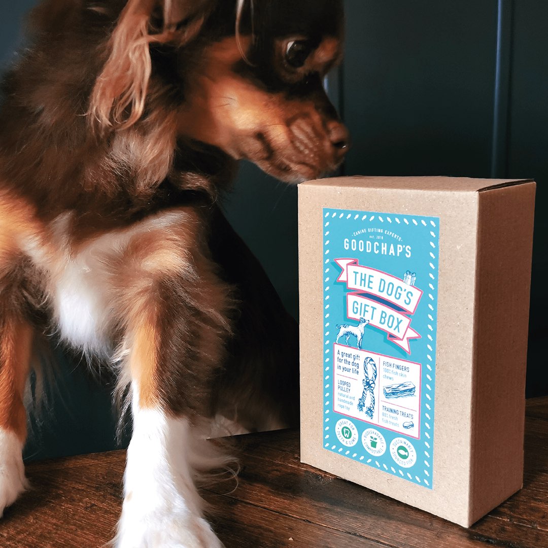 Plastic-free Dog's Gift Box